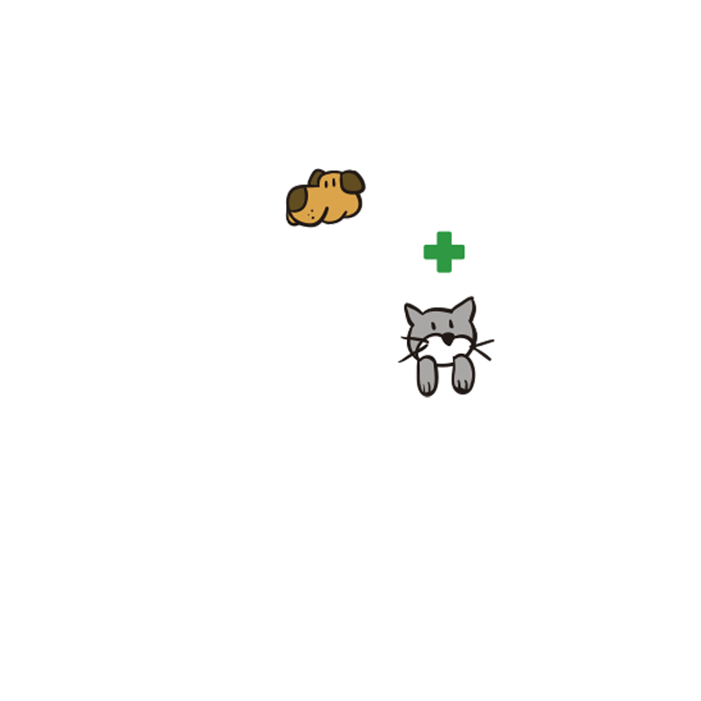 Dogtorcat